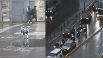 Llovizna en Lima HOY 13 de agosto: ¿en qué distritos sorprendió y cómo estará el clima en los próximos días?