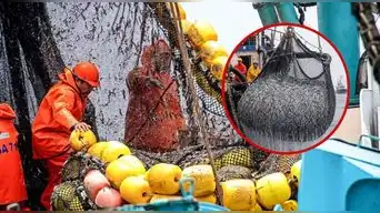 PRODUCE mueve las reglas de la PESCA ante El Niño Costero: ¿qué ESPECIES podrán aprovecharse?