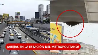 ¡ALERTA EN EL METROPOLITANO! Enjambre de ABEJAS obliga a CERRAR estación | ¿Qué pasó con los pasajeros?