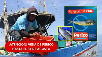 ¡INDIGNANTE! Venden PERICO pese a la VEDA en Pucusana y DENUNCIAN AUSENCIA de fiscalizadores