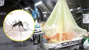 ALERTA SANITARIA | Minsa reporta más de 3.000 contagiados de DENGUE en Lima: conoce los distritos en mayor riesgo