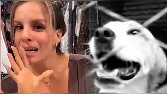 ¡NO SE QUEDA CALLADA! Alejandra Baigorria SE PRONUNCIA tras denuncia por ABANDONO de MASCOTAS en albergue: “Yo no tengo...”