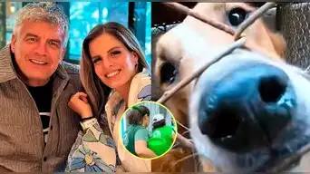 ¡NO SE APARECIÓ! Papá de Alejandra Baigorria FALTÓ a cita con animalistas y luego tomó INESPERADA decisión