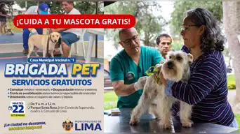 ¡ATENCIÓN, DUEÑOS DE MASCOTAS! Municipalidad de Lima dará CONSULTAS y desparasitación GRATIS | REVISA dónde y cuándo