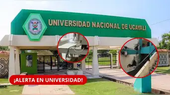 ¡EN RIESGO! Universidad Nacional de Ucayali ENFRENTA graves observaciones de SUNEDU: ¿Podría perder su LICENCIAMIENTO?