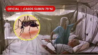¡DENGUE SE DISPARA EN PERÚ! Casos aumentan 79 % y ya suman casi 56 MIL contagios y 67 fallecidos | ESTAS REGIONES PREOCUPAN