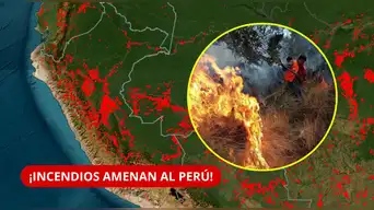 ¡ALERTA ROJA EN PERÚ! 9 regiones están en RIESGO por INCENDIOS y Puno ya reporta más de 50 alpacas muertas, según Senamhi