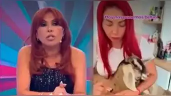 Magaly Medina acusa a Deysi Araujo de maltrato animal a cabrita que adoptó y expone INDIGNANTES tratos: "Le amarra las..."
