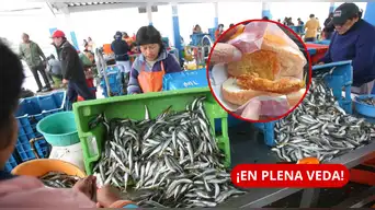 ¡EN PLENA VEDA! Venden pan con PEJERREY a S/5 en Chorrillos y comerciantes EVITAN responder: ¿está permitido? | VIDEO