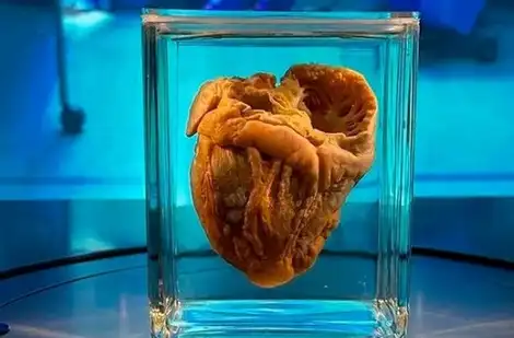 El Popular El Popular