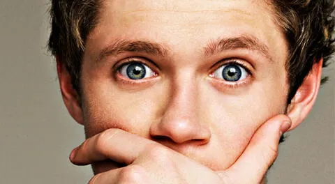 Niall Horan no dejará One Direction.. al menos por el siguente año.