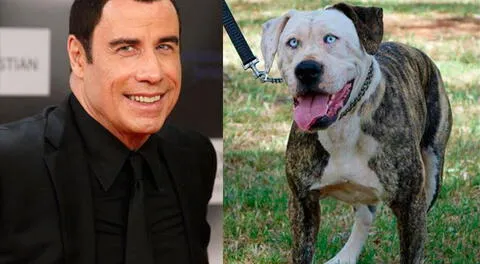 Travolta y perrito tienen un parecido. 