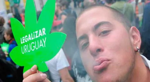 Marihuana legal en Uruguay.