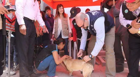 Ministerio de Salud: une esfuerzos para prevenir la rabia canina