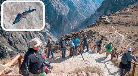 Mirador en el Valle del Colca