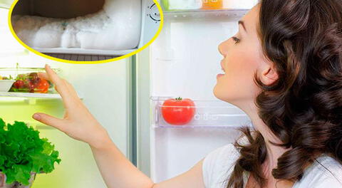 Descongela tu refrigerador y te ahorrarás en el recibo de electricidad