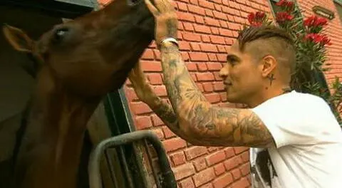 Otra pasiónde Guerrero son los caballos. FOTO: Internet