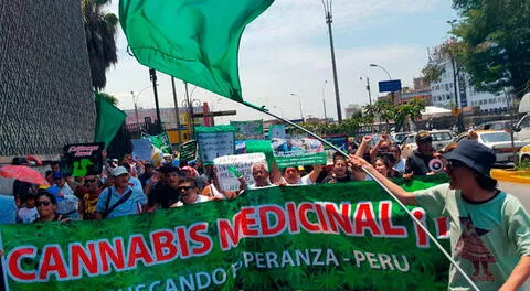 Minsa publicó reglamento para el uso medicinal del cannabis