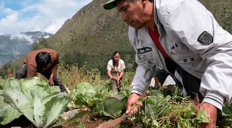 Perú es uno de los países más vulnerables al Cambio Climático 