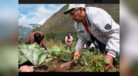 Perú es uno de los países más vulnerables al Cambio Climático 