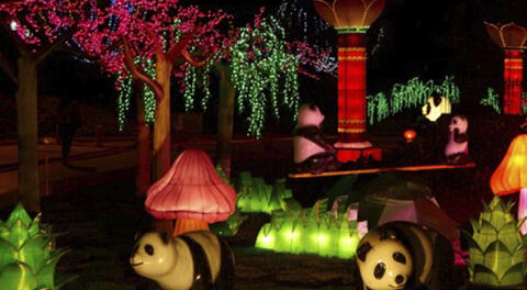 'Festival de las luces del oso panda' llega desde China a Jesús María 