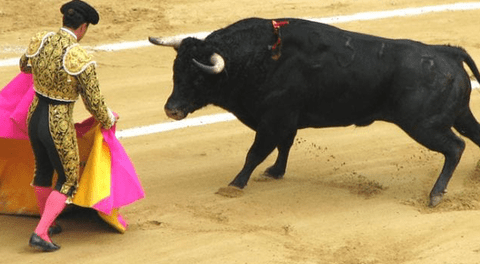 Las corridas de toros es considerada por parte de la sociedad como una tradición