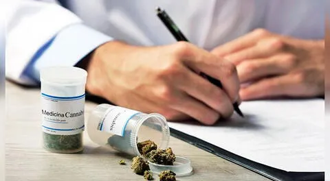 Medida busca proteger salud de pacientes que utilizan el cannabis medicinal