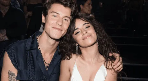 Una gran iniciativa por parte de Shawn Mendes y Camila Cabello