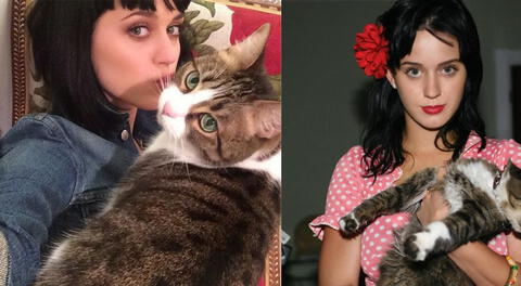 Katy Perry y su gatita