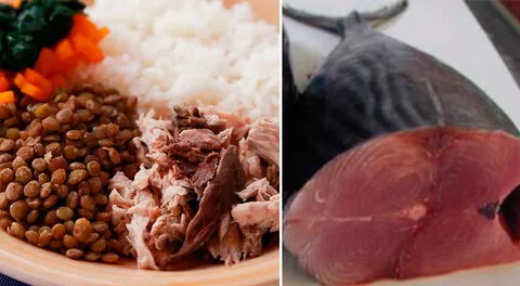La carne negra del pescado es una gran fuente de hierro.