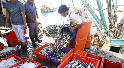 Día del pescador: el 29 de junio sirve para reconocer la valentía de aquellos hombres y mujeres que se dedican a la pesca