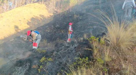 Menor de once años fallece en Cusco luego de haber apoyado a las brigadas para controlar incendio de Ollantaytambo