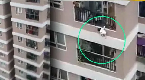 Repartidor salva de la muerte a una niña de 3 años que cayó de una altura de 12 pisos