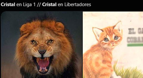 Usuarios crearon divertidos memes por la caída de Cristal ante Sao Paulo.