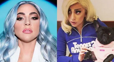 Lady Gaga sufrió el hurto de sus mascotas cuando su paseador fue interceptado por delincuentes, pero afortunadamente logró recuperarlos.