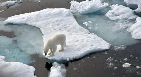 Hace unos días la comunidad científica observaba el desprendimiento de un iceberg llamado A-76 de la Antártida.