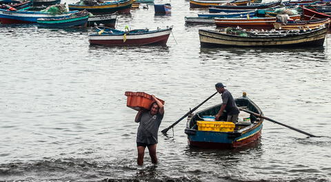 Según una investigación llevada por Ojo Público, no hay un registro de pescadores actualizados hasta el 2020.