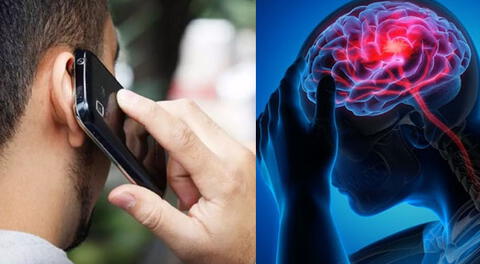 EE. UU.: científicos alertan que la radicación de los celulares podría provocar tumores cerebrales.