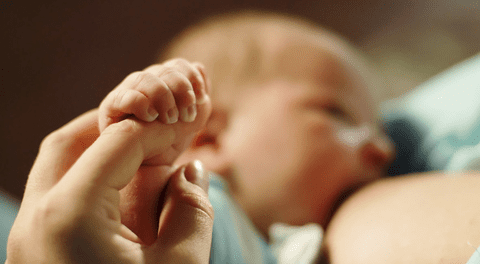 El calostro tiene un alto componente inmunológico que protegerá al bebé durante sus primeros meses de vida.