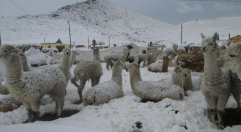 Senamhi: nieve, granizo y fuertes lluvias soportarán 43 provincias de 8 regiones