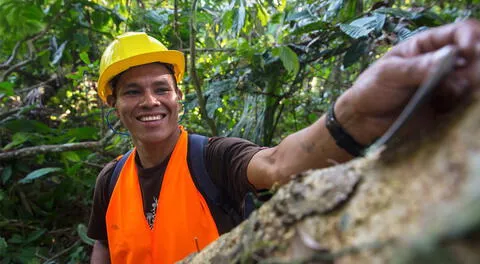 La zona de Tahuamanu que abarca más de un millón de hectáreas que constituyen el 50% del territorio de toda la provincia.