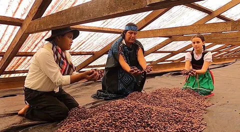 La Municipalidad de Oxapampa lanzó una certificación que garantiza la calidad del cacao, café y otros productos.