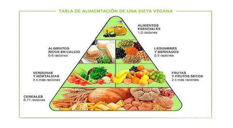 La piramide alimenticia vegetariana.