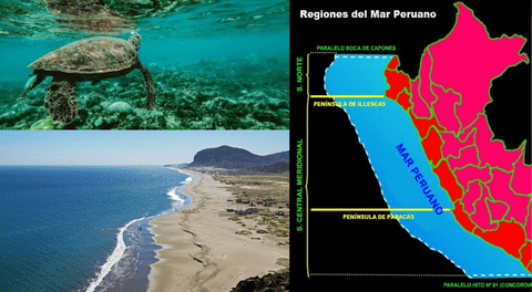 La pesca ilegal y contaminación ponen en peligro al mar peruano.