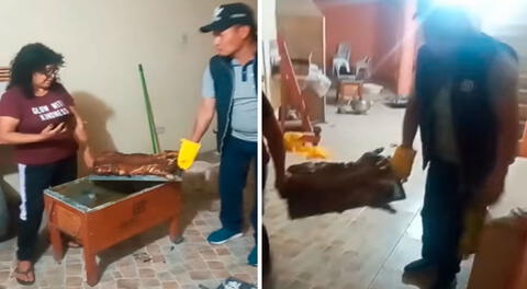 Una pareja se animó a bailar mientras llevaban una bandeja con el chancho recién cocinado; sin embargo, sufrió un incidente. Foto: captura de YouTube