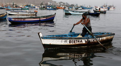 Gobierno evalúa entregar un bono a los pescadores artesanales perjudicados por el derrame del crudo.