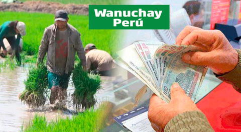 Cronograma de pagos del Bono Wanuchay mes de febrero 2022