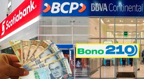 Bono 210: Conoce si eres beneficiario de este nuevo subsidio económico