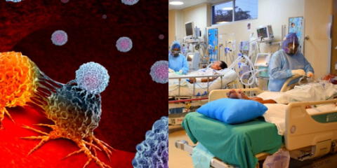 Los glóbulos rojos es la primera defensa en el organismo ante cualquier patógeno.