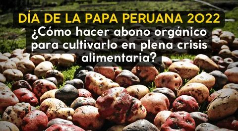 Día de la papa peruana 2022: ¿cómo hacer abono orgánico para cultivarlo en plena crisis alimentaria?